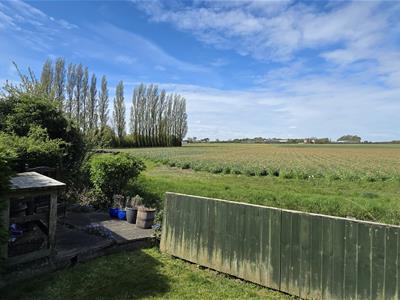 Picture 21